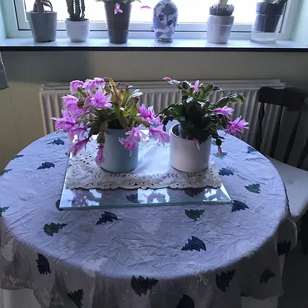 Very I Rodbyhavn * Rodby